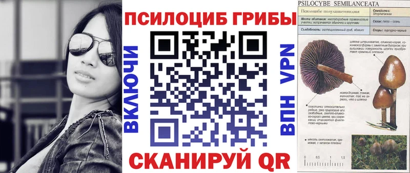 Псилоцибиновые грибы мухоморы Рославль