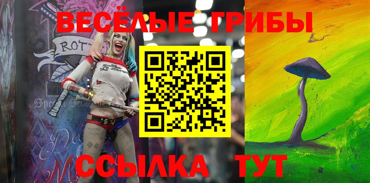 Галлюциногенные грибы Psilocybe Рославль
